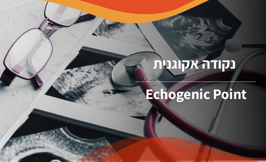Echogenic Point