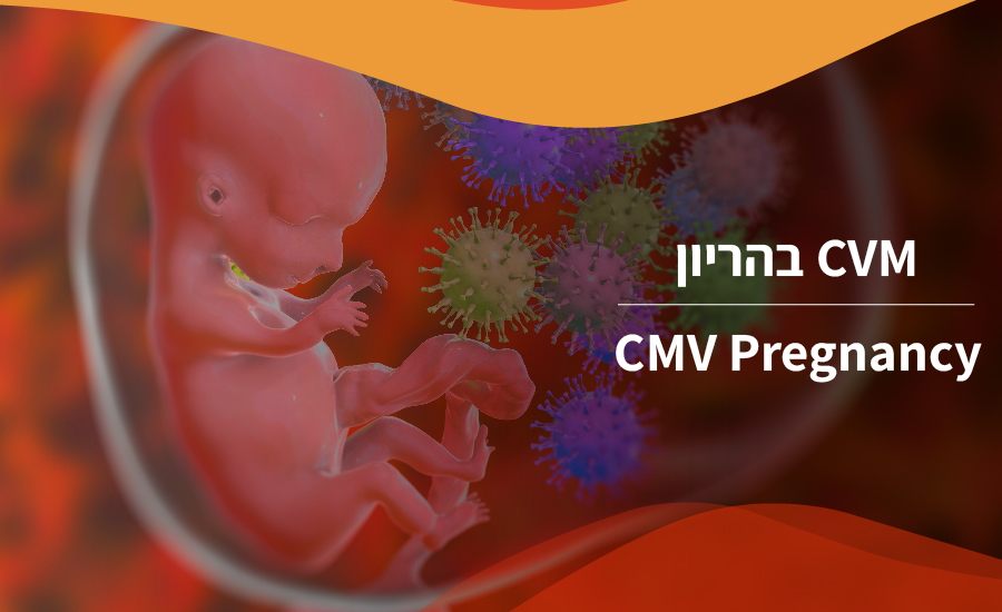 CMV בהריון